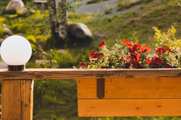 Ein Blumentopf Mit Blumen Und Eine Weiße Laterne Auf Einem lizenzfreie Stockbilder