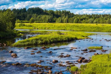 Kırsal nehir güzel görünümü. Nehir tarlalar ve ormanlar arasında akar.