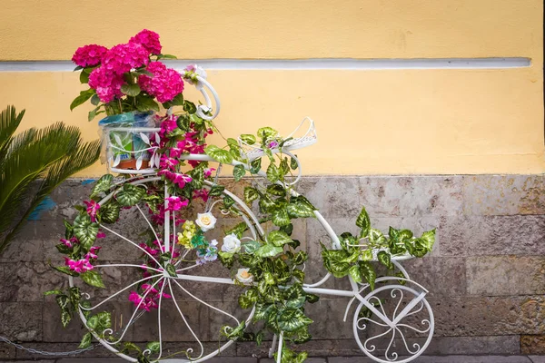 Oldtimer Fahrrad Auf Dem Blumen Wachsen Blumen Wachsen Aus Einem lizenzfreie Stockfotos