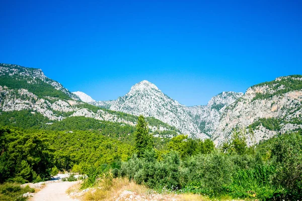 Açık bir gökyüzü arka planda güzel dağ manzara. Dağlarda sedir ağaçları büyüyünce, onlar sıcak yaz güneşi tarafından aydınlatılır.