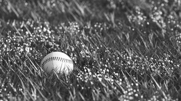 Black and white close up shot of old baseball lying in the grass with shallow depth of field — Stock Photo, Image