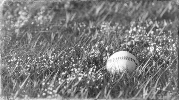 Black and white close up shot of old baseball lying in the grass.