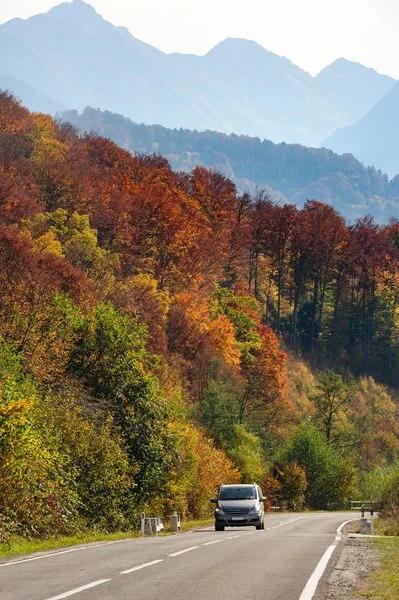 Transfagarasan도로에 숲에 자동차 — 스톡 사진