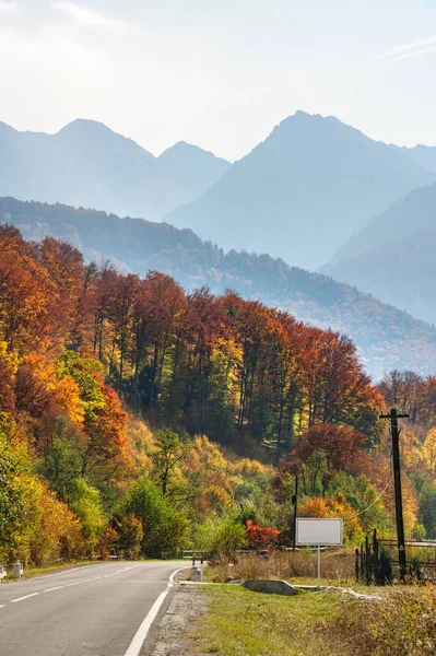 Droga w lesie w Transfagarasan — Zdjęcie stockowe