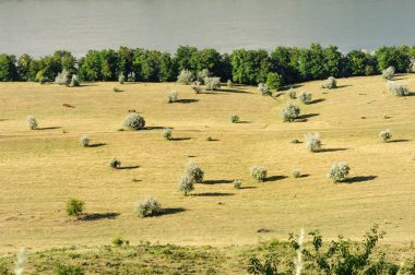 Moldova tipik peyzaj