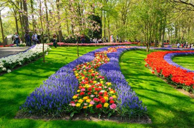 Lisse, Hollanda'daki Keukenhof Gardens çiçek yatakları