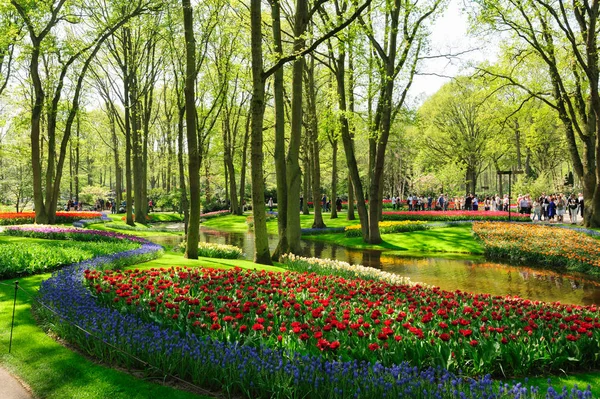 Blomsterrabatter i Keukenhof Gardens i Lisse, Nederländerna — Stockfoto