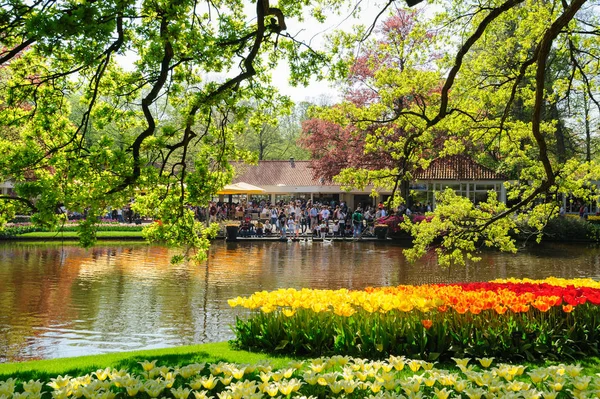 Lisse, Hollanda'daki Keukenhof Gardens çiçek yatakları — Stok fotoğraf