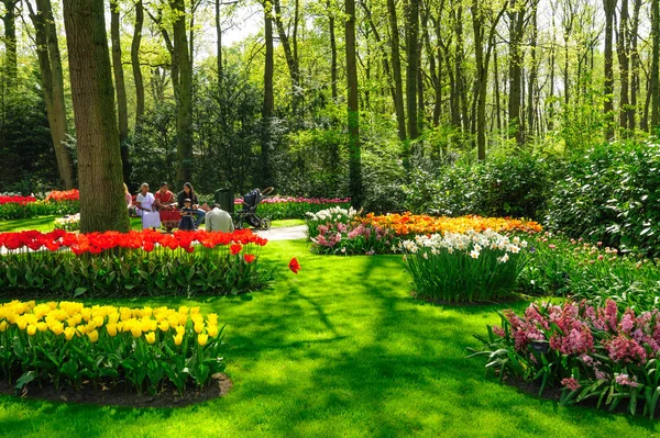 Kwietnie ogrody Keukenhof w Lisse, Holandia — Zdjęcie stockowe