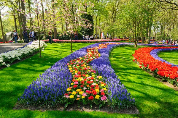 Camas de flores de Keukenhof Gardens em Lisse, Países Bajos — Fotografia de Stock