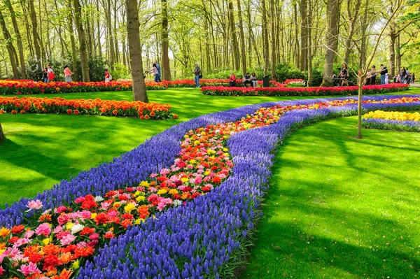 Lisse, Hollanda'daki Keukenhof Gardens çiçek yatakları — Stok fotoğraf