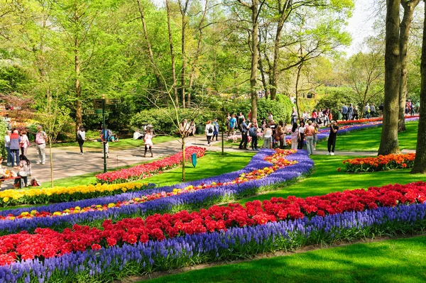 Blomsterrabatter i Keukenhof Gardens i Lisse, Nederländerna — Stockfoto