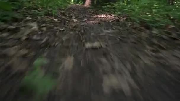 Begane grond perspectief om te wandelen op een voetpad in het groene bos — Stockvideo