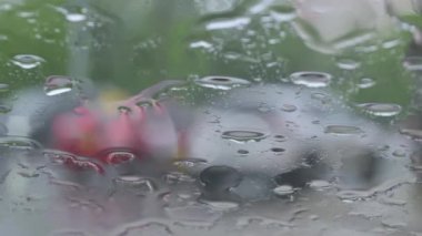 Arabanın ön camına yağmur damlaları düşüyor, dışarıdaki trafik bulanıklaşıyor.