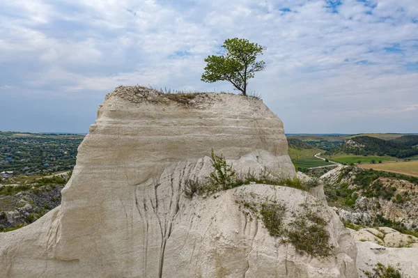 Lonely tree at limestone quarry in Moldova — Stock Photo, Image