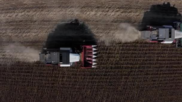 Zbieranie nasion słonecznika, widok z lotu ptaka — Wideo stockowe