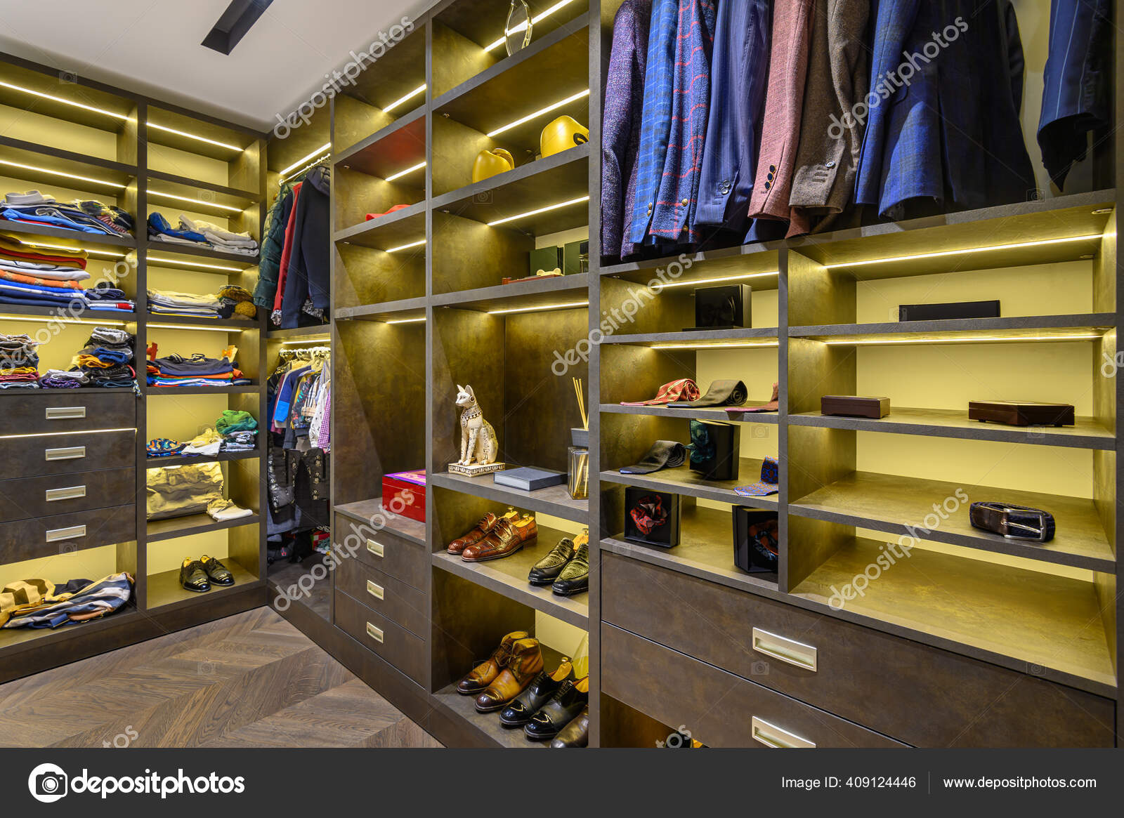 Premium AI Image  Luxury Bags and Shoes in Woman's Closet