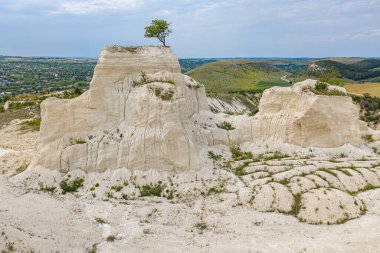 Moldova 'da kireçtaşı ocağındaki yalnız ağaç