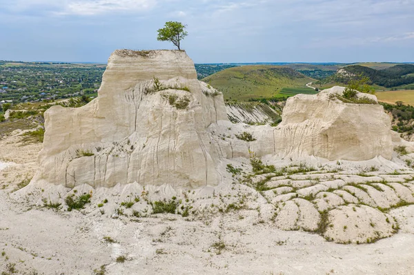 Moldova 'da kireçtaşı ocağındaki yalnız ağaç — Stok fotoğraf