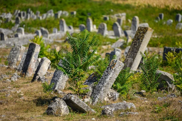 Oude grafstenen op de oude Joodse begraafplaats in Vadul liu Rascov in Moldavië — Stockfoto