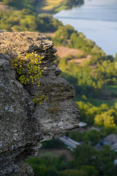Crescente albero a scogliera alta roccia sopra il villaggio di Socola — Foto Stock