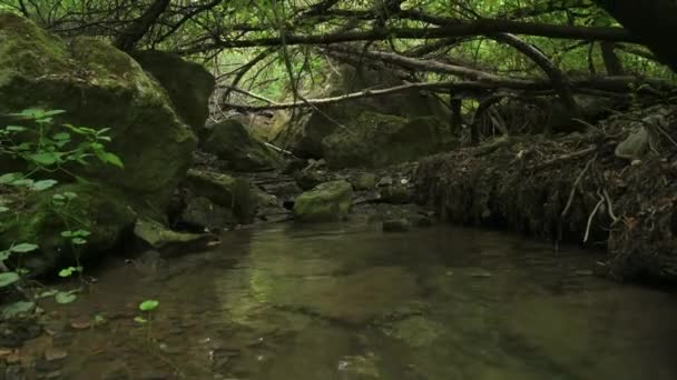 Stromende watervallen in Bechirs Creek bij Soroca, Moldavië — Stockvideo