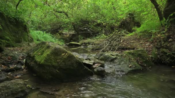 Agua corriente en la garganta de Bechirs cerca de Soroca, Moldavia — Vídeos de Stock