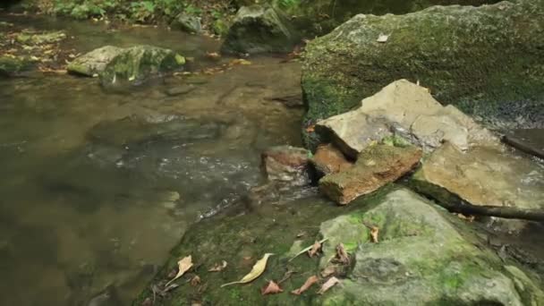 Речная вода в ущелье Бечирс близ Сороки, Молдова — стоковое видео