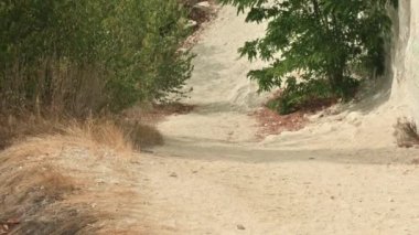 Moldova, Soroca yakınlarındaki Bekir Geçidi 'nin üstündeki tebeşir duvarı