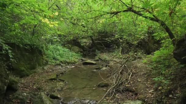 Moldova 'nın Soroca kenti yakınlarındaki Bekhirs Vadisi' nde akan sular — Stok video
