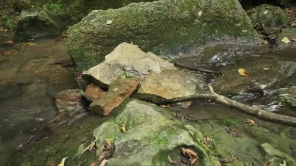 Agua corriente en la garganta de Bechirs cerca de Soroca, Moldavia — Vídeos de Stock