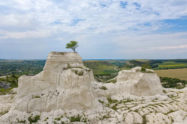 Árbol solitario en cantera de piedra caliza en Moldavia — Foto de Stock