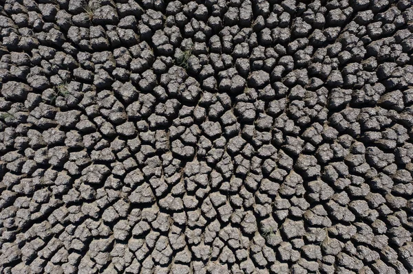 Sécheresse surface de terre fissurée profonde éclairée par le soleil — Photo