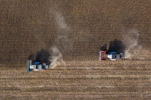 Cosecha de semillas de girasol, vista aérea —  Fotos de Stock