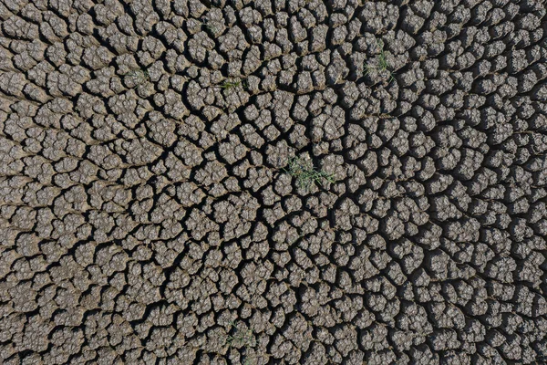 Sécheresse surface de terre fissurée profonde éclairée par le soleil — Photo