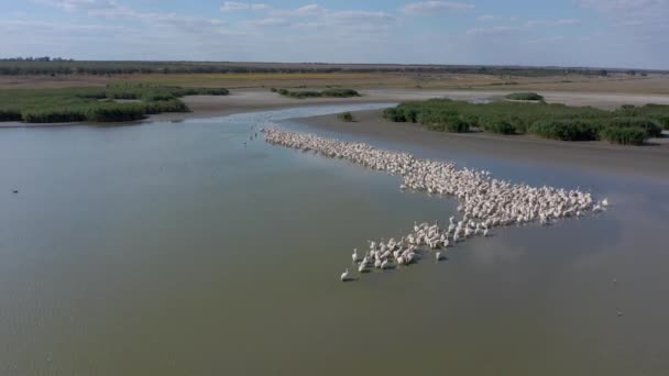 Стоковые Видео Gagauzia ⬇ Скачать Футажи Gagauzia | Depositphotos