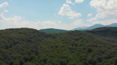 Arslanbob bir vadi, dağ ve Batı Kırgızistan celal-abad ili büyük vahşi ceviz (Juglans Regia) ormanda olduğunu. Burada, ağaçlar 30 metre yükseklikte ulaşabilirsiniz. Arial Dron ateş.