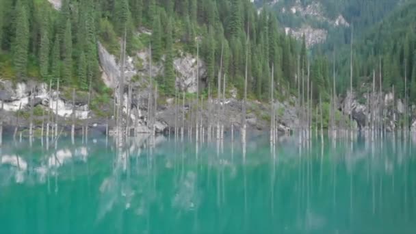 Lago Kaindy Kazajstán Conocido También Como Lago Abedul Bosque Submarino — Vídeo de stock