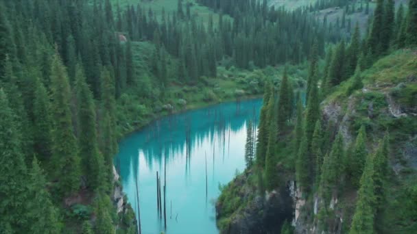Kaindy Lake Kazakhstan Known Also Birch Tree Lake Underwater Forest — Stock Video