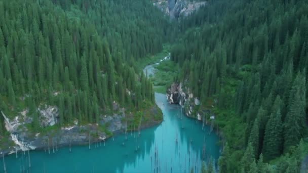 Озеро Кайнди Казахстане Известно Березовое Озеро Подводный Лес 400 Метровое — стоковое видео
