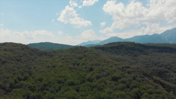 Arslanbob Bosque Valle Cordillera Una Gran Nuez Silvestre Juglans Regia — Vídeos de Stock