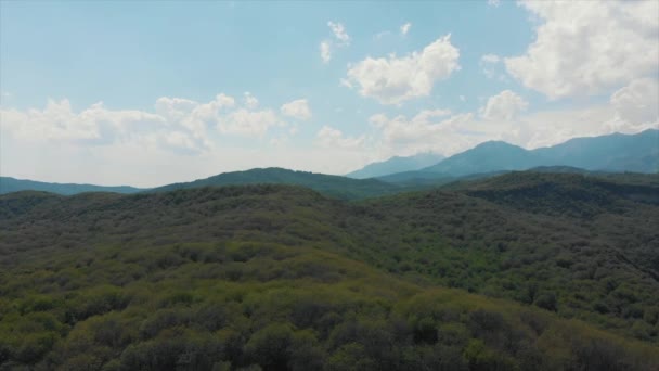 Arslanbob Valley Mountain Range Large Wild Walnut Juglans Regia Forest — Stock Video