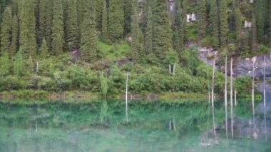 Kazakistan'ın Kaindy Gölü huş ağacı Gölü veya sualtı orman da bilinir. Bazı bölgelerde 30 metre yakınındaki derinliklerine ulaşır bir 400 metre uzun göl.