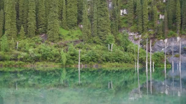 Kaindy Sjö Kazakstan Även Känd Som Björk Träd Sjön Eller — Stockvideo