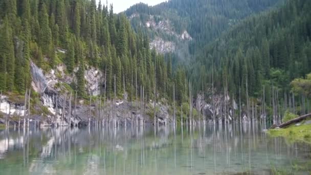 Kaindy Lake Kazakhstan Known Also Birch Tree Lake Underwater Forest — Stock Video