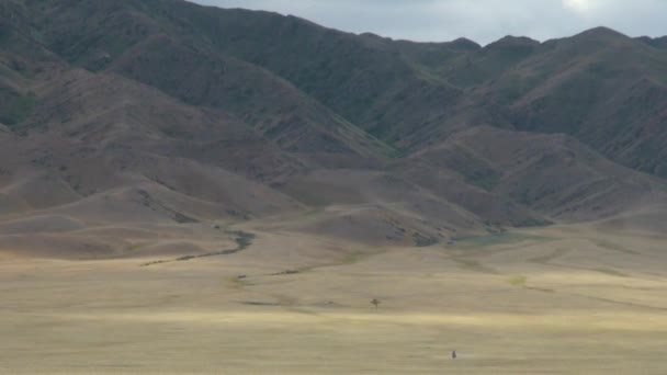 Степь Тянь Шаньский Хребет Границе Между Китаем Кыргызстаном — стоковое видео