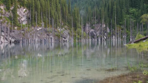 Lago Kaindy Kazajstán Conocido También Como Lago Abedul Bosque Submarino — Vídeos de Stock