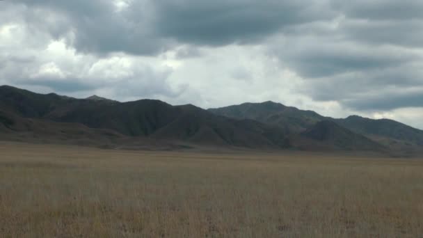Stepní Rozsah Pohoří Tian Shan Hranici Mezi Čínou Kyrgyzstánu — Stock video