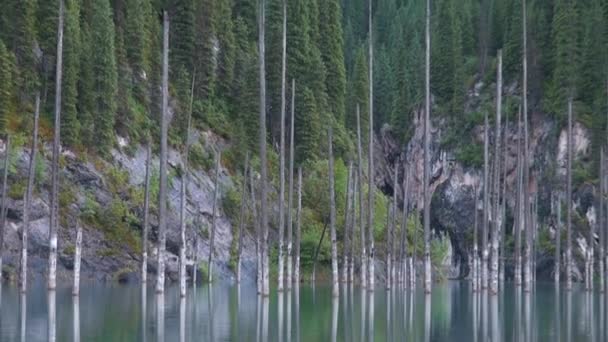 Kaindy Lake Kazakhstan Known Also Birch Tree Lake Underwater Forest — Stock Video