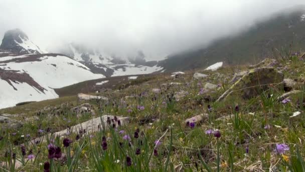 Hohe Schneebedeckte Berge Bei Bewölktem Tag Skigebiet Shymbulak Oder Chimbulak — Stockvideo